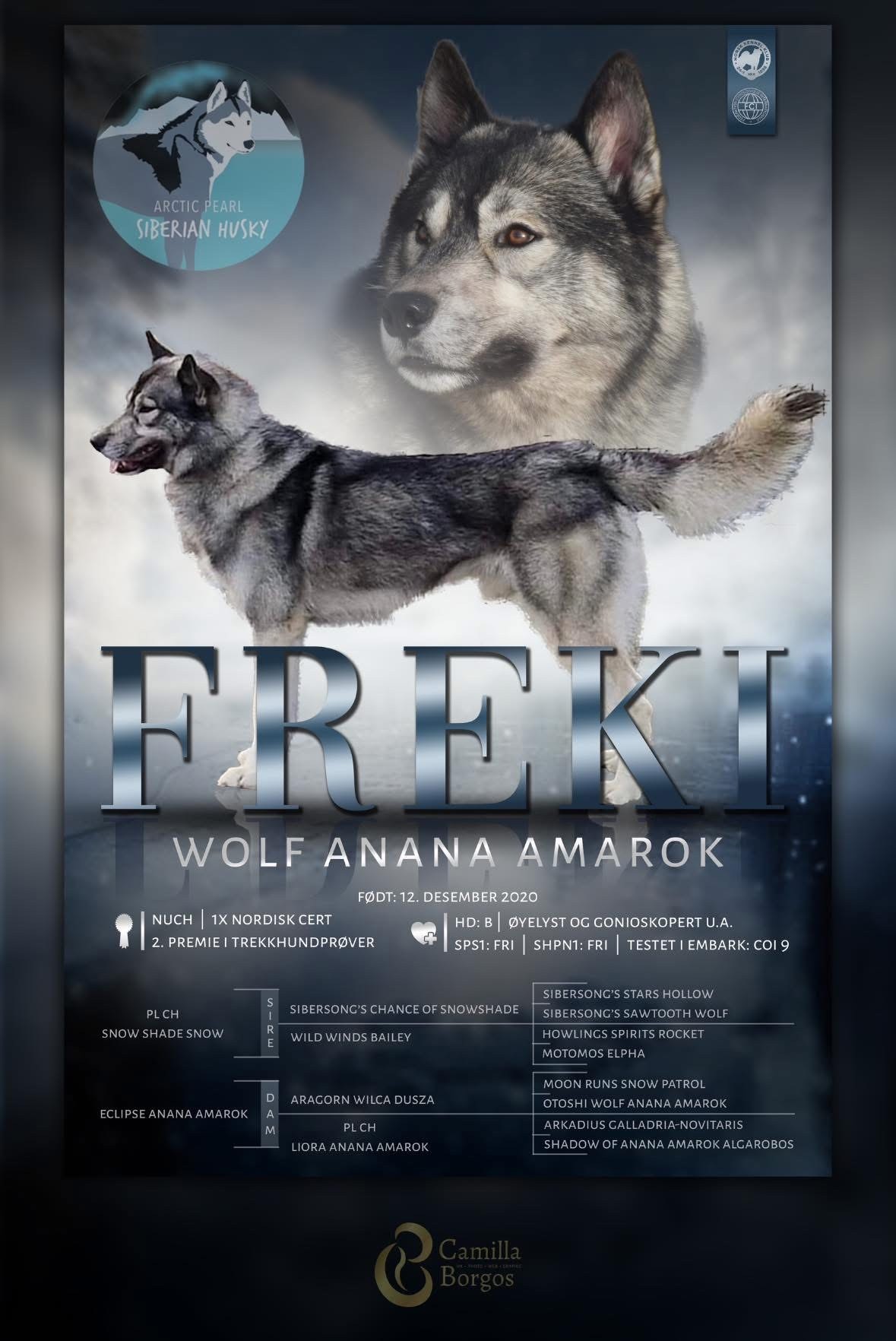 No uch Freki Wolf Anana Amarok, F: 12.12.2020