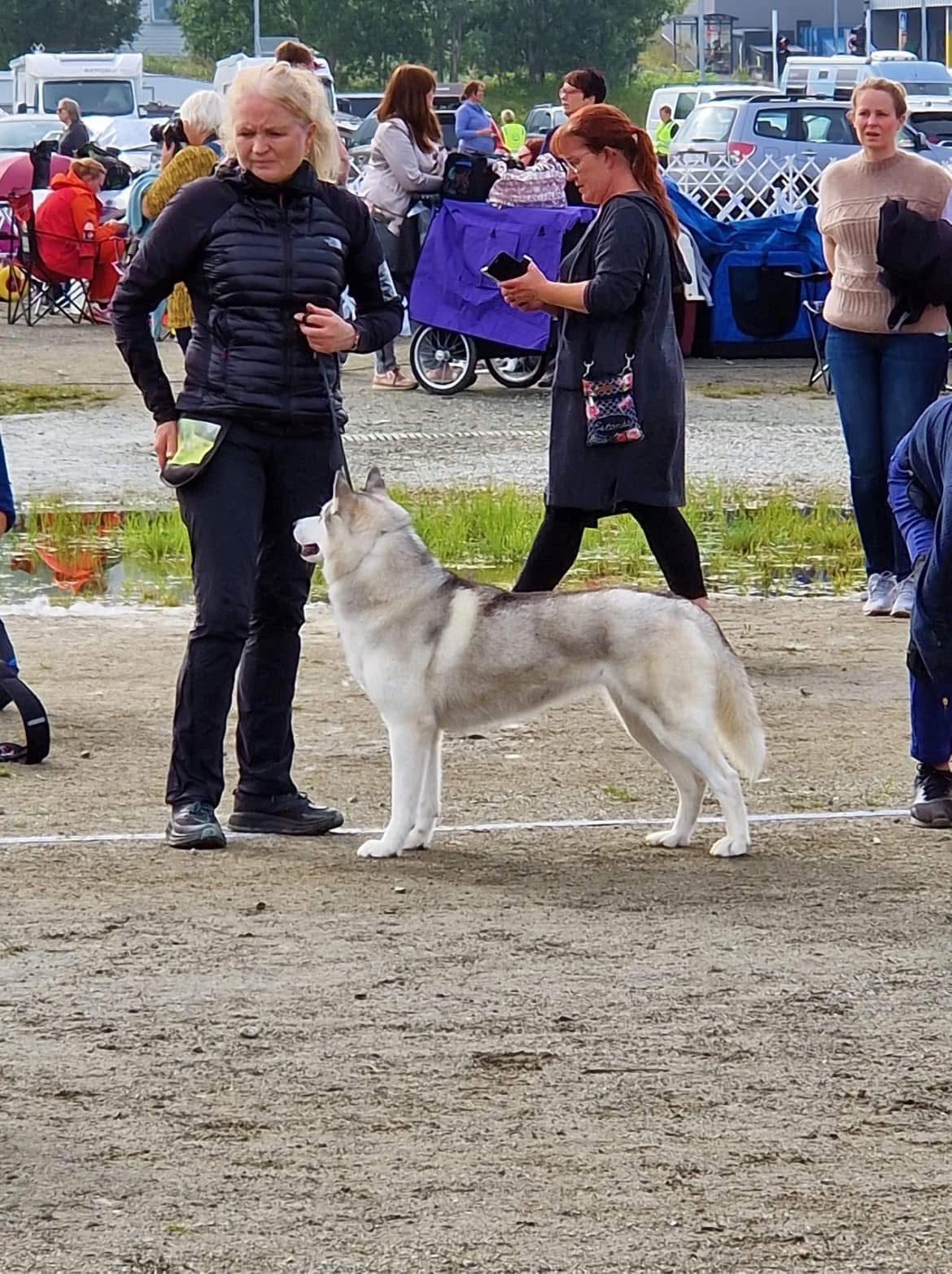 N UCH NORDIC UCH Fi uc(pending) C.I.B(pending) Arcticv-25 Arctic Pearl’s Katla, F: 13.07.2020
