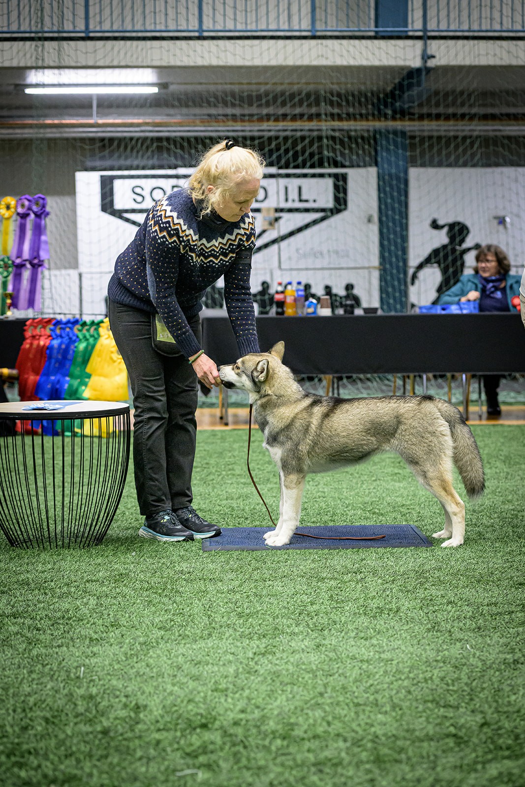 Arctic Pearls`s Wolf Ylva, F: 02.03.2024
